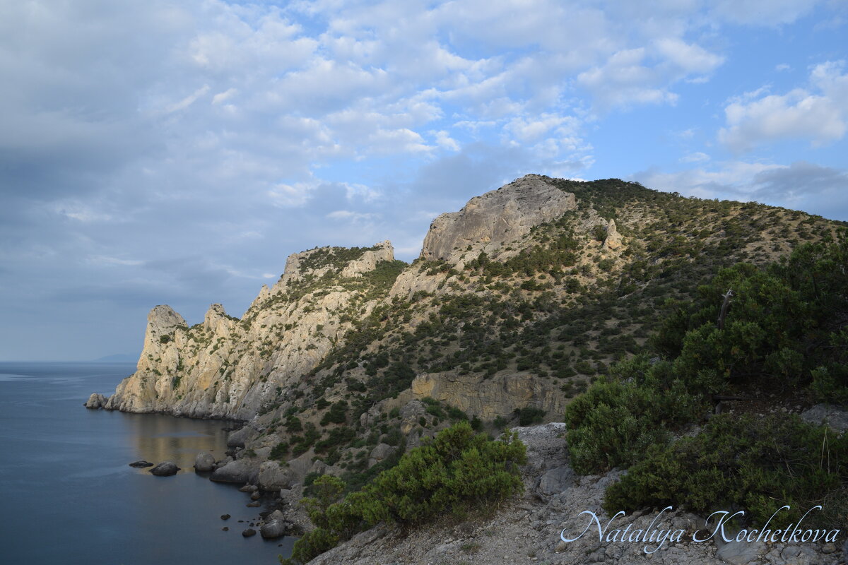 Природа Крыма - Amazing Cosmea