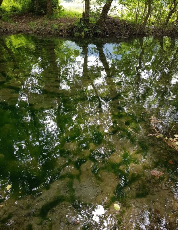 Горная речка - Tata Wolf