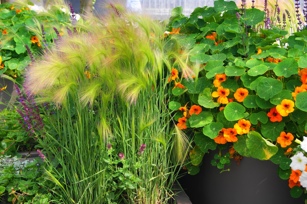 /// - Виктор Никитенко