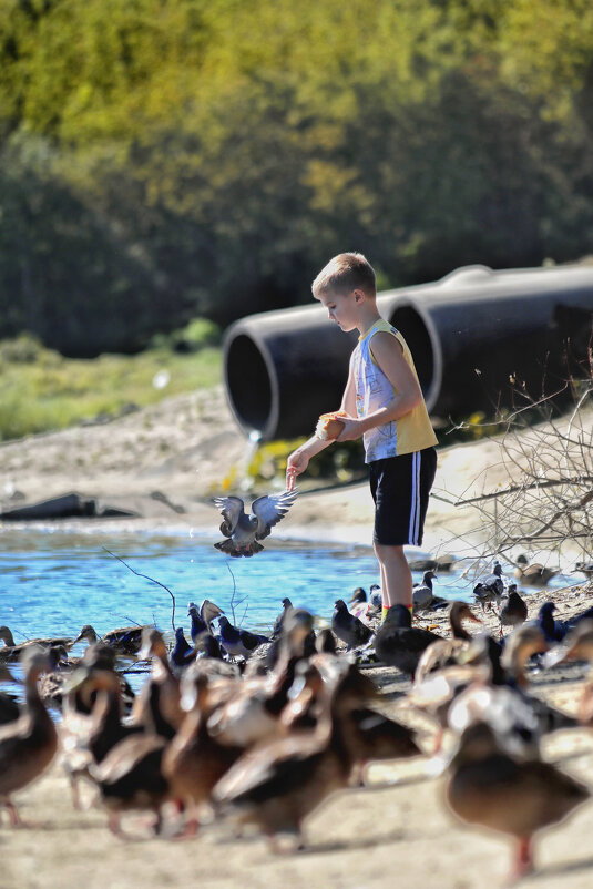 У реки. - Татьяна Бравая