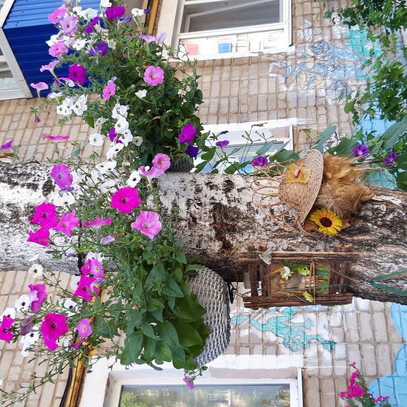 Мой город. - Венера Чуйкова