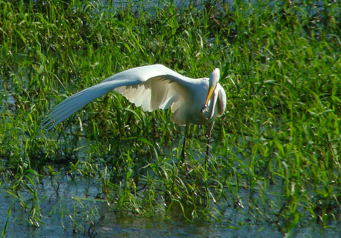 рыбалка - gawrilа - dan