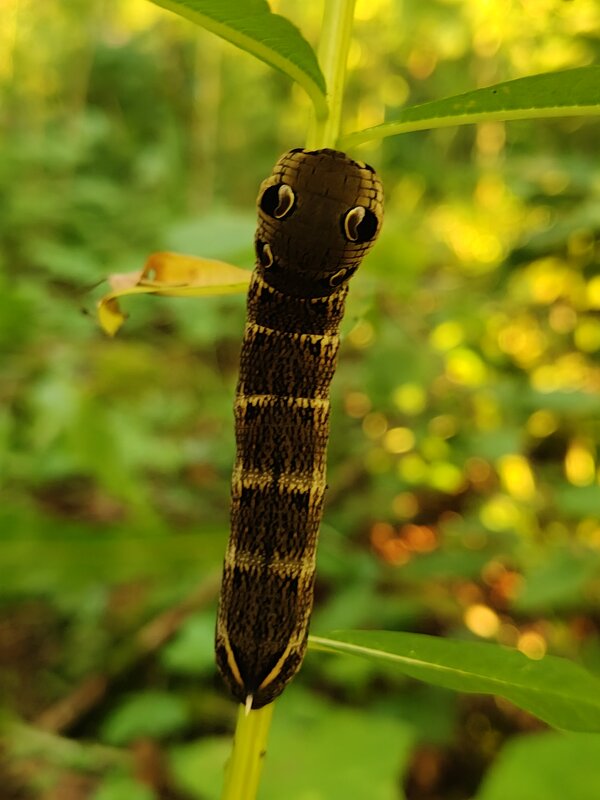 Еще чуть -чуть и удивлю) - Андрей 