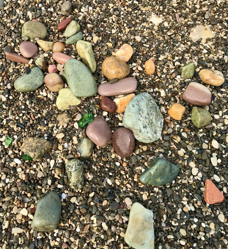 Они не все серые! - Pippa 