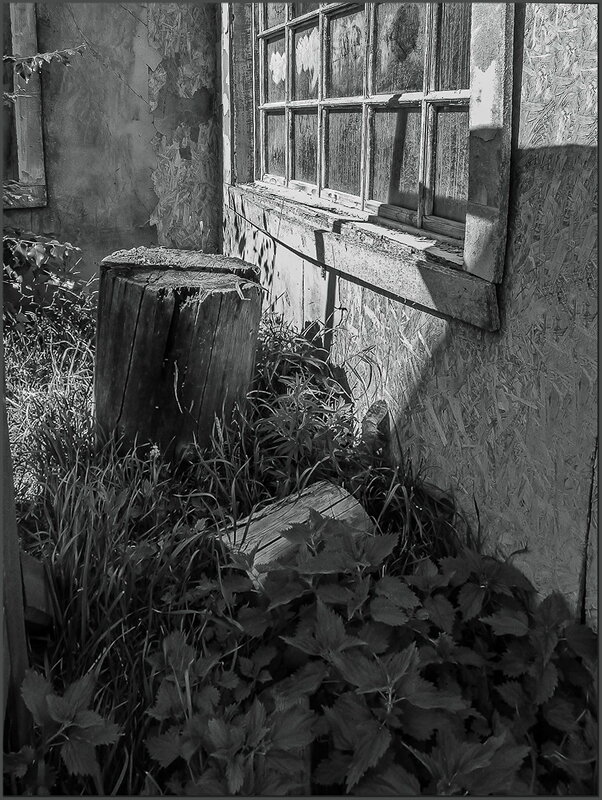 Пустынный двор - Наталья Rosenwasser