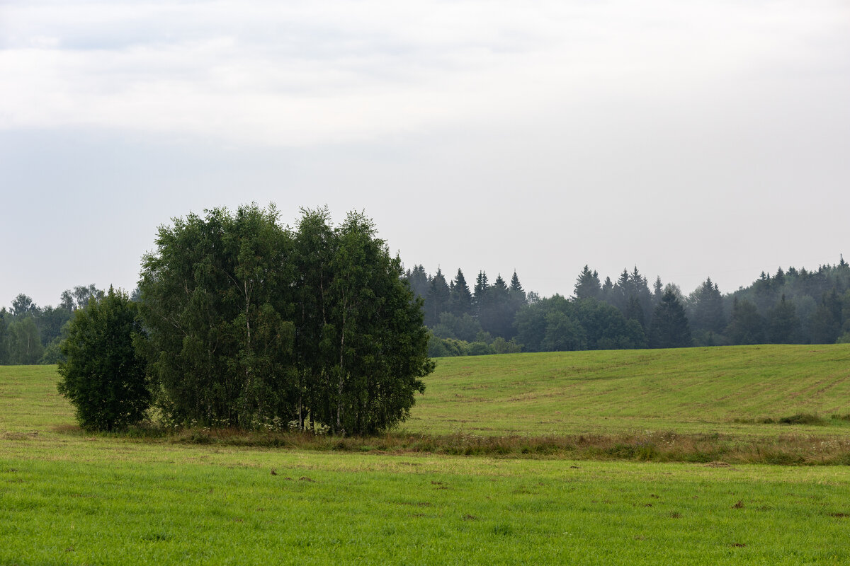 * - k-e-r-g-u-d-u DM