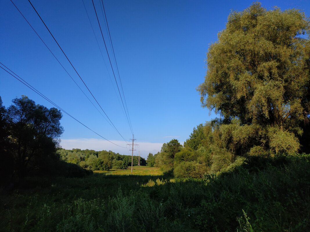 * * * - Андрей Лукьянов