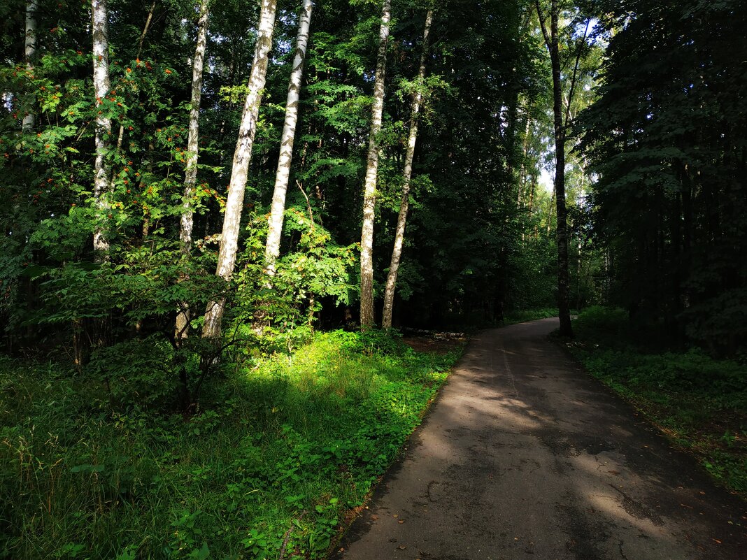 * * * - Андрей Лукьянов