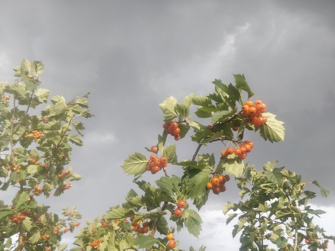 Дождь,собирается - Андрей Хлопонин