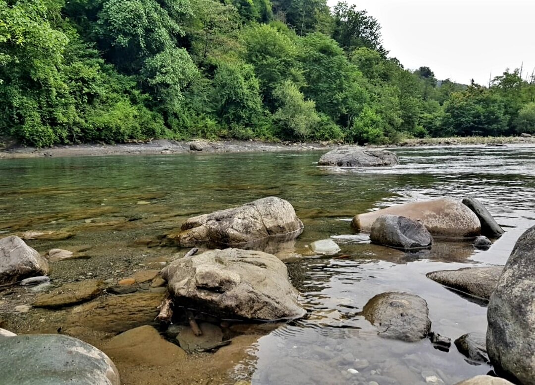 Горная речка - Tata Wolf