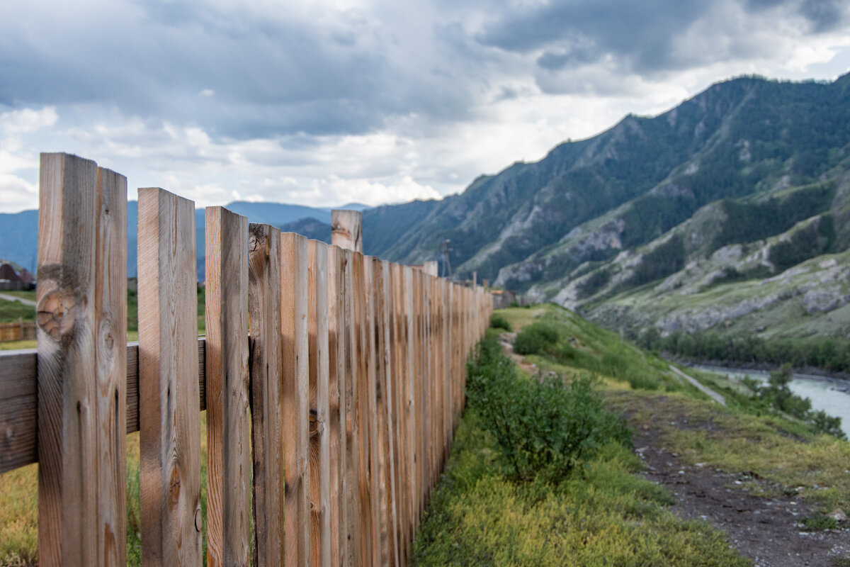 *** - Николай Чекалин