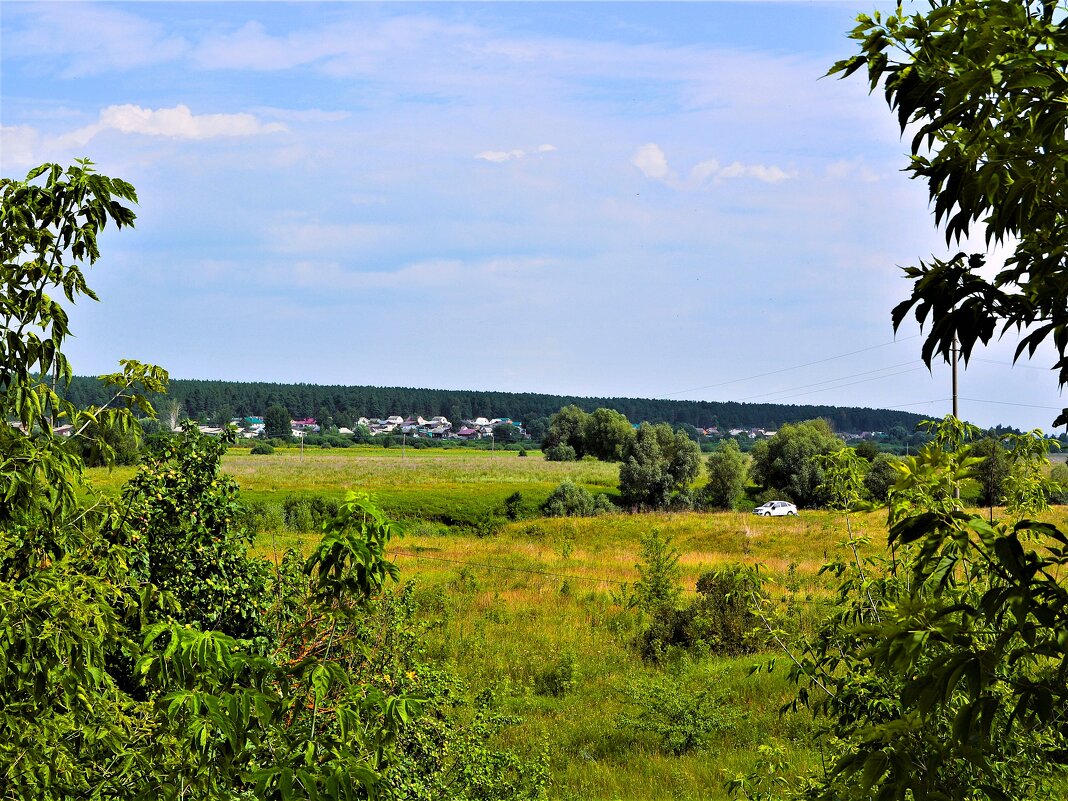 Алатырь. В пойме реки Алатырь летом. - Пётр Чернега Алатырь. В пойме реки Алатырь летом. - Пётр Чернега
