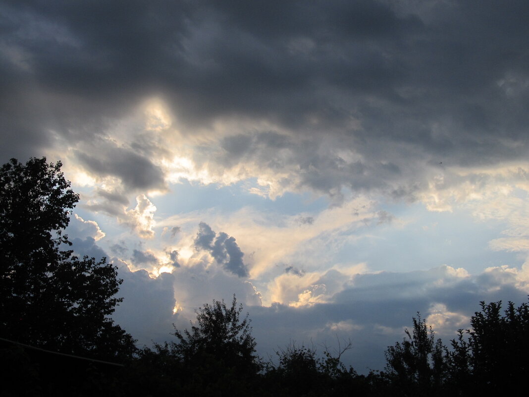 тихий вечер - Елена Шаламова