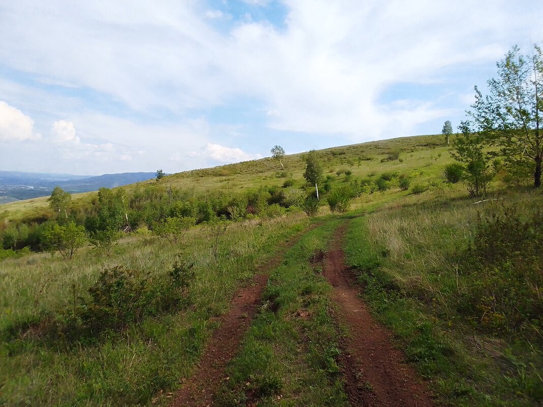 «Титовская сопка» - Екатерина Панова «Титовская сопка» - Екатерина Панова