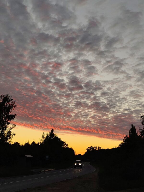 Скоро ночь - Андрей 