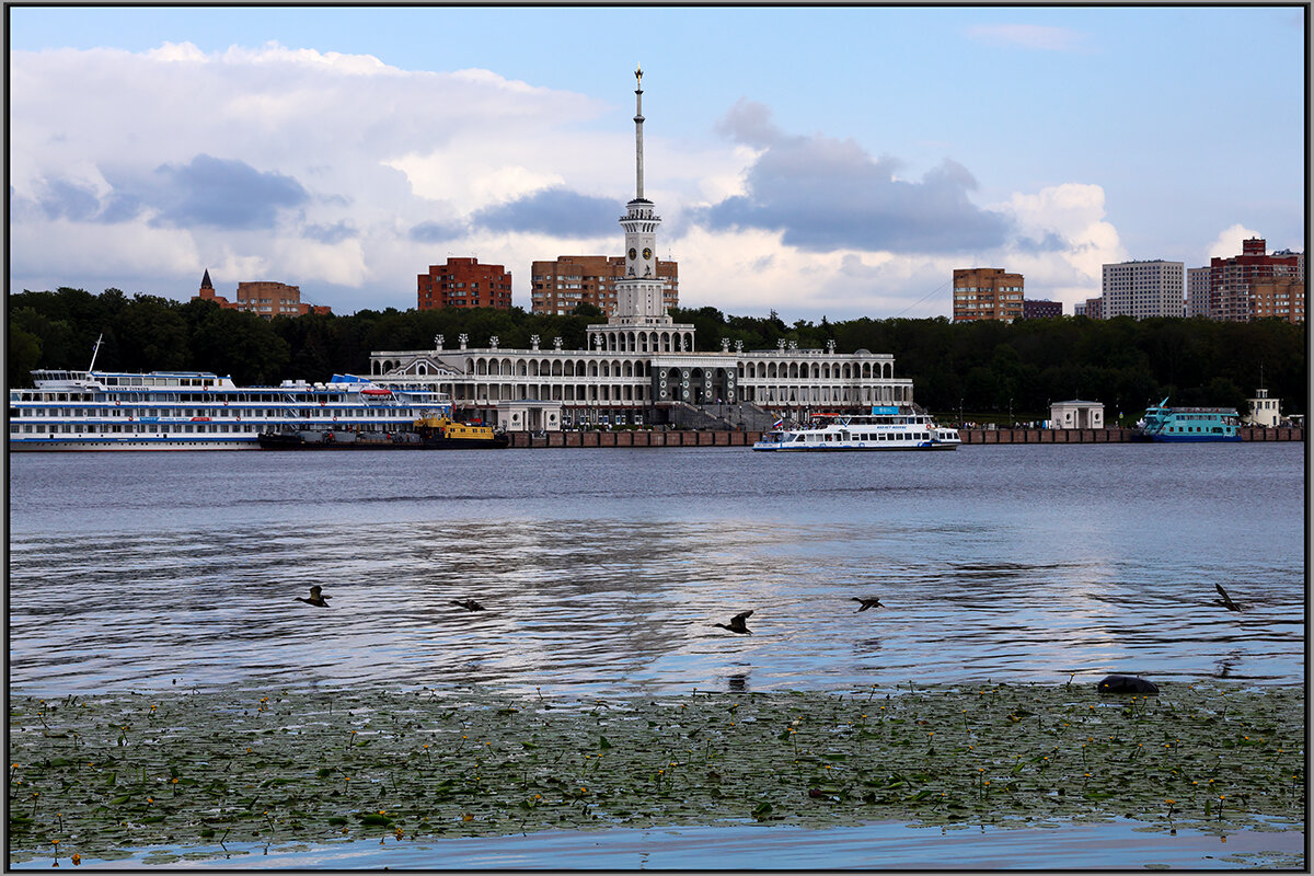 Открытка - Сергей Премонишын Открытка - Сергей Премонишын