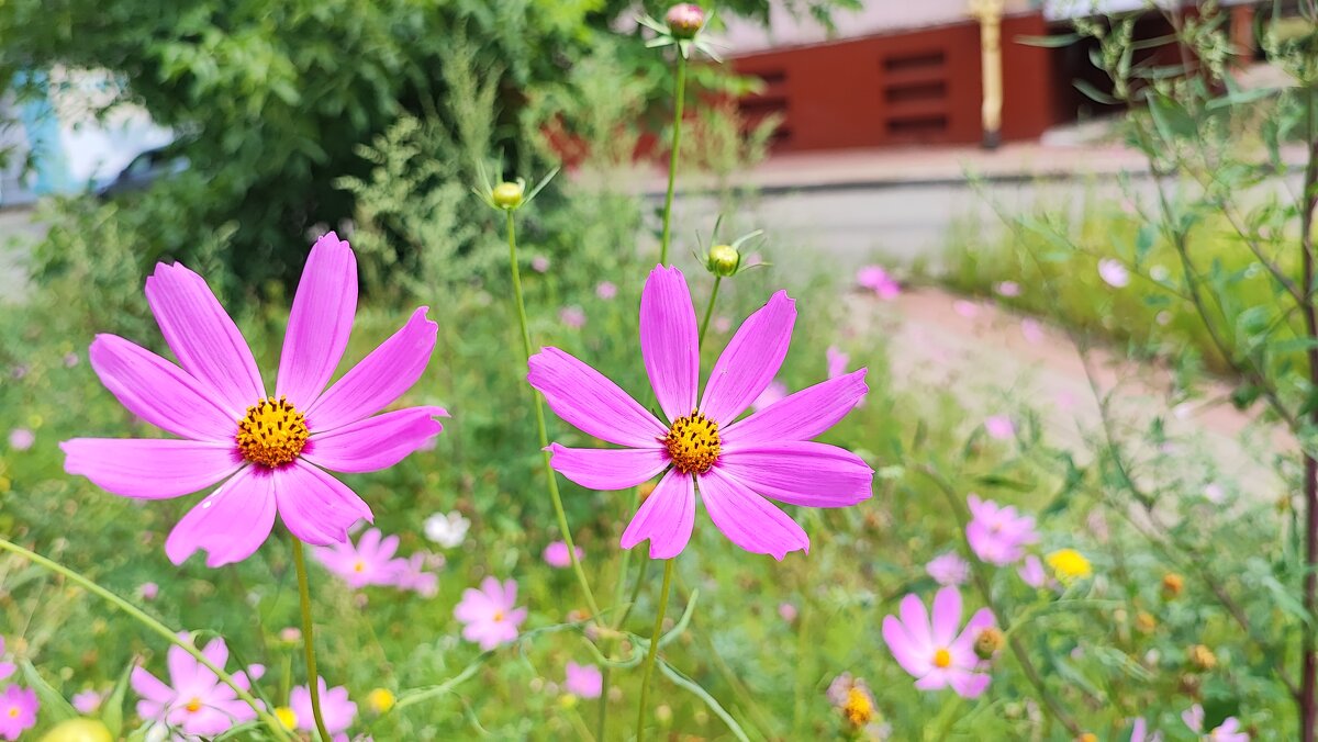 ,,, - Сергей Тимоновский