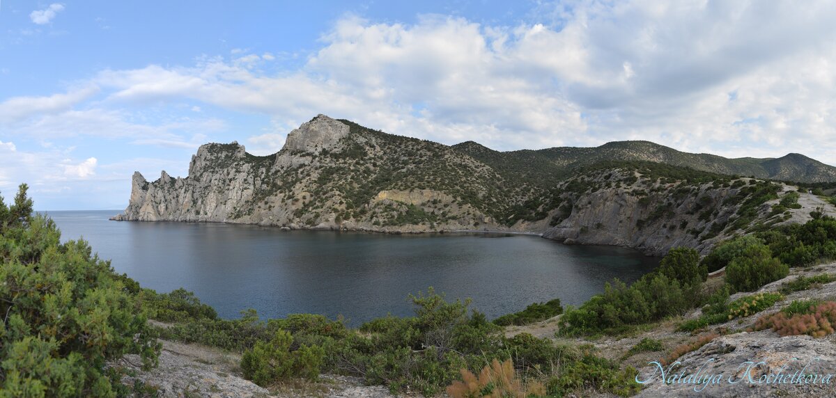 Природа Крыма - Amazing Cosmea