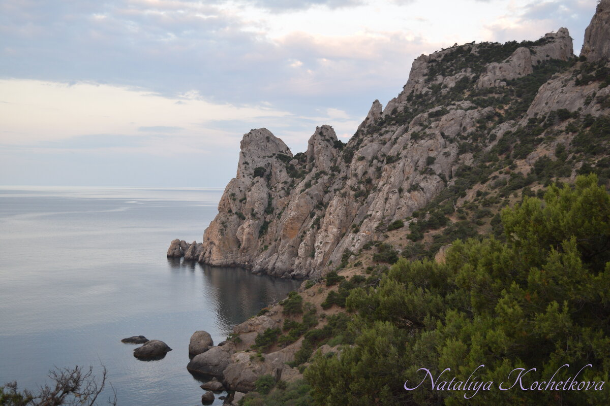 Природа Крыма - Amazing Cosmea Природа Крыма - Amazing Cosmea