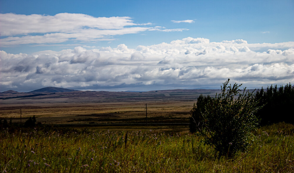 Пейзаж - Светлана SvetNika17
