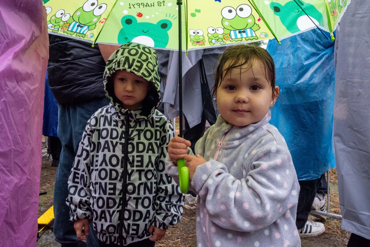 *** - Валерий Михмель 