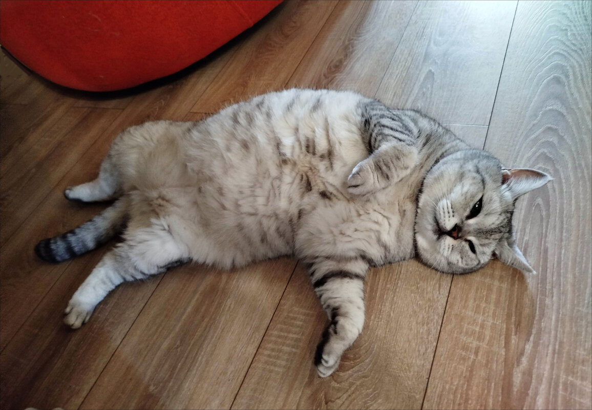 Жарко! - Надежда Жарко! - Надежда