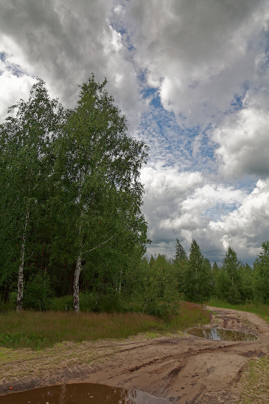 *** - Сергей Серый