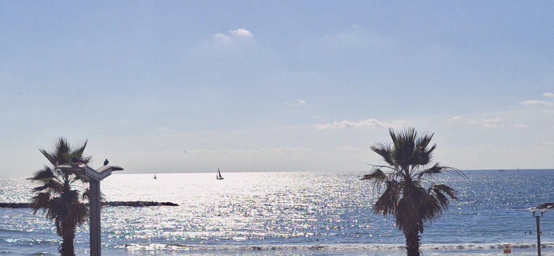 ЛЕ БО 5 (31) - CLOSE WAYS ALL