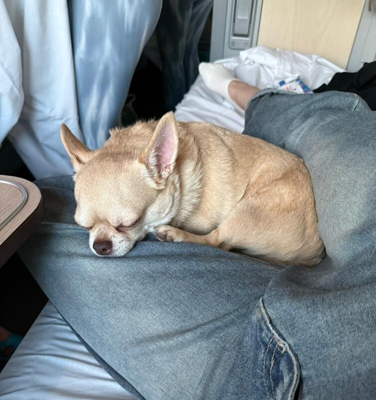 Поехали. - Венера Чуйкова Поехали. - Венера Чуйкова