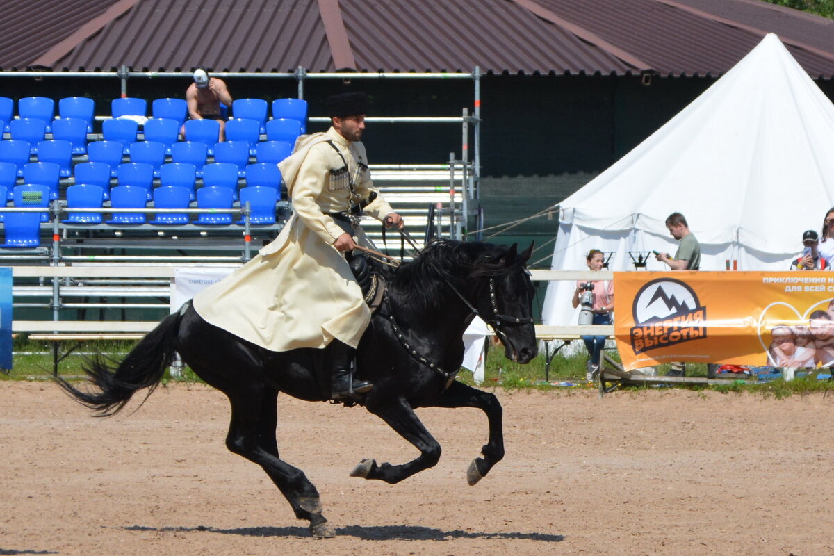 Международная конная выставка "Иппосфера" 2025 - Николай Международная конная выставка "Иппосфера" 2025 - Николай