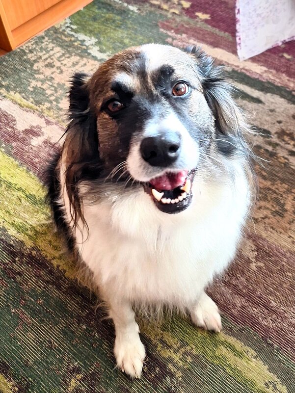 Ося - Наталья 