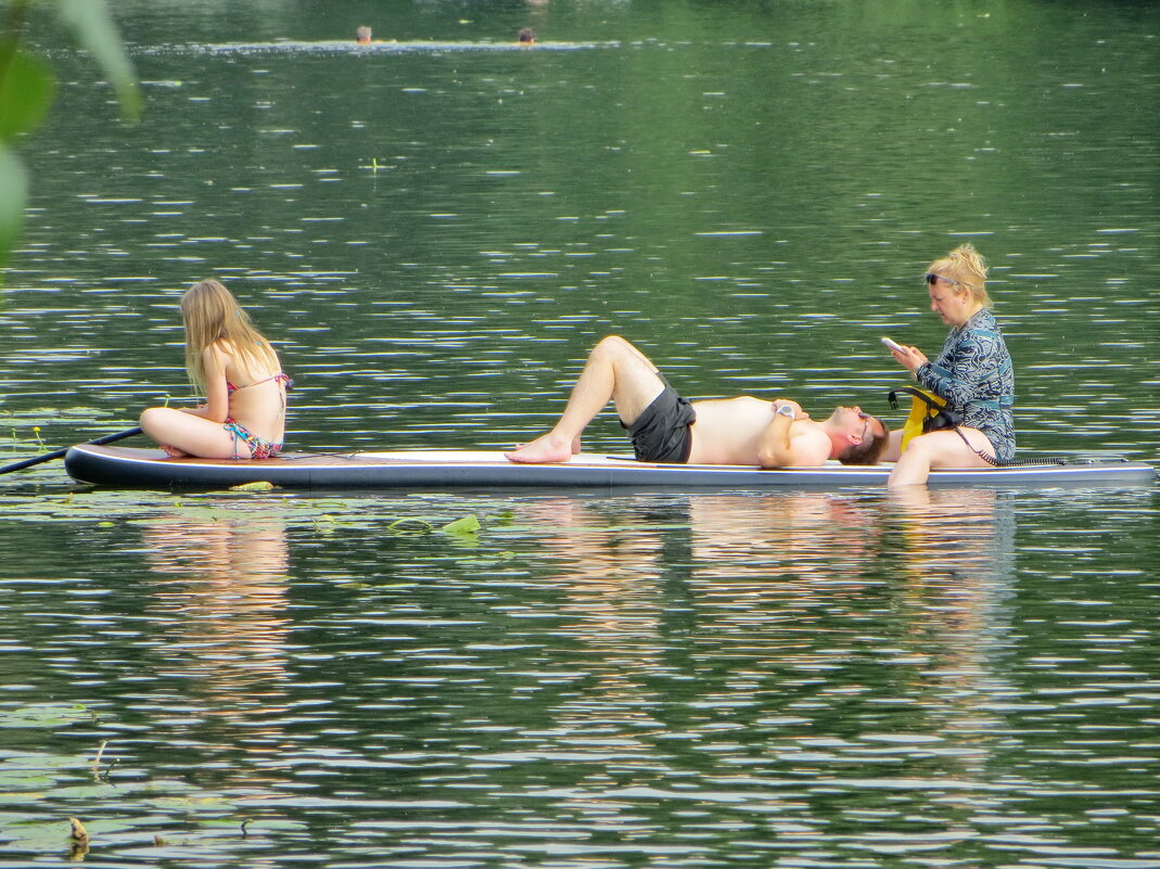 Семья на сапе - Александр Чеботарь