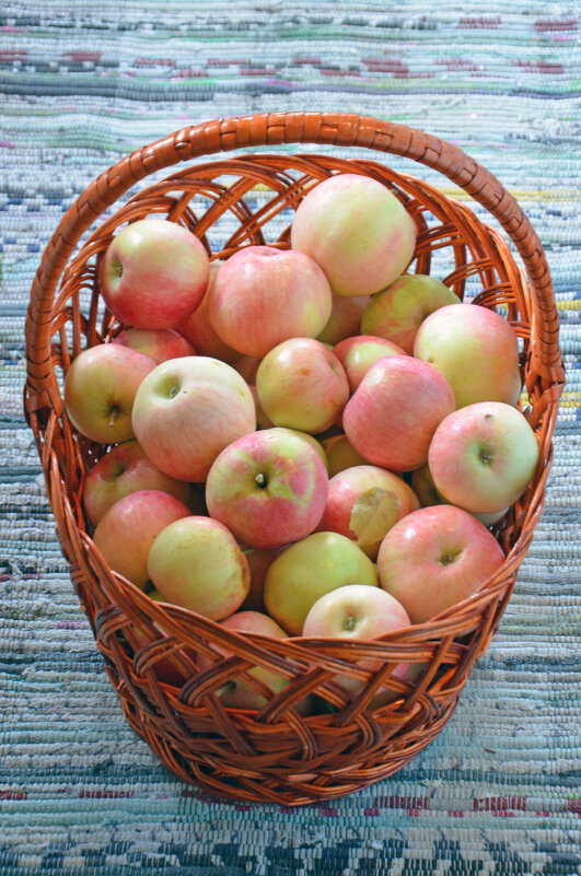 Приметы лета. Корзина с яблоками - Сергей М Приметы лета. Корзина с яблоками - Сергей М