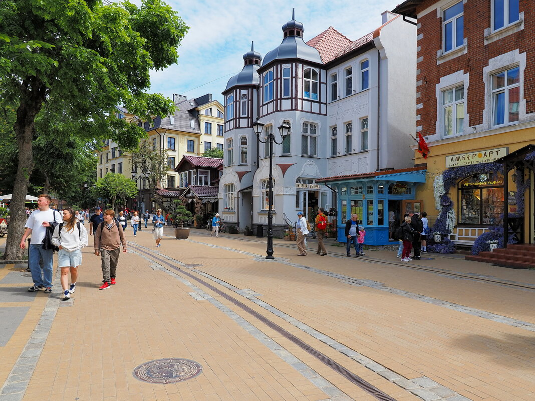 Курортный проспект Зеленоградска. - Евгений Седов