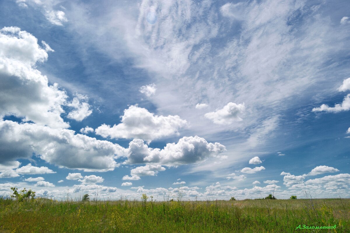 На летних просторах.. - Андрей Заломленков