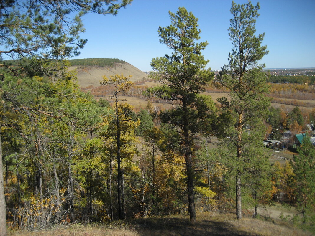 Лес - Anna Ivanova