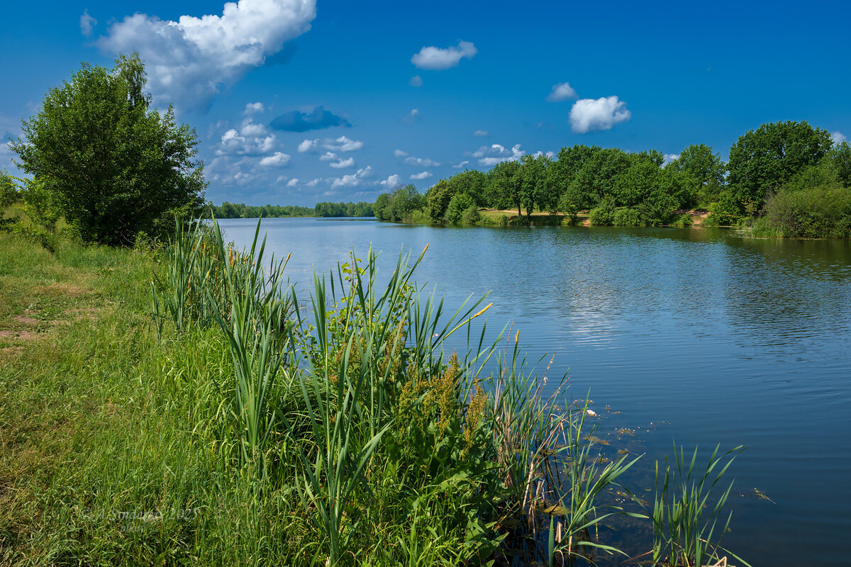 Летом на берегу озера - Александр Синдерёв