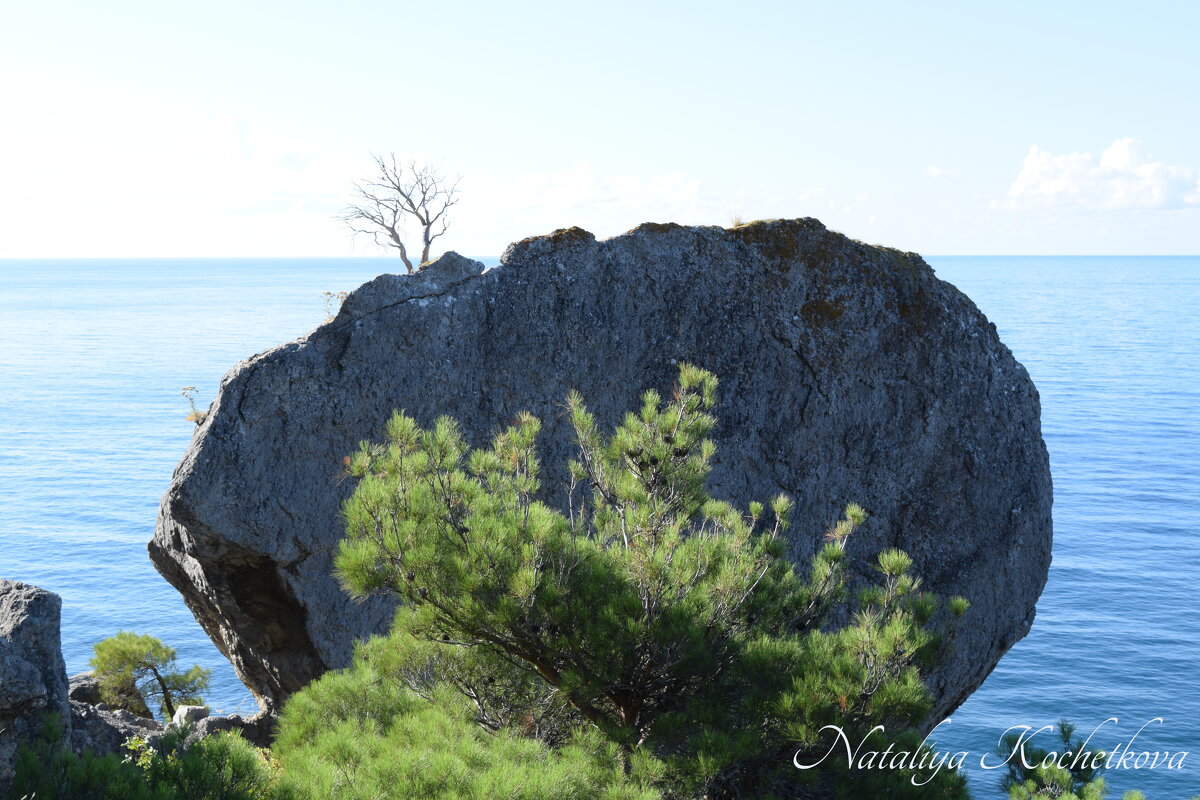 Природа Крыма - Amazing Cosmea