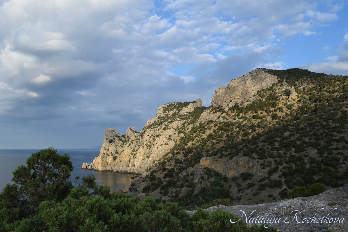 Природа Крыма - Amazing Cosmea Природа Крыма - Amazing Cosmea