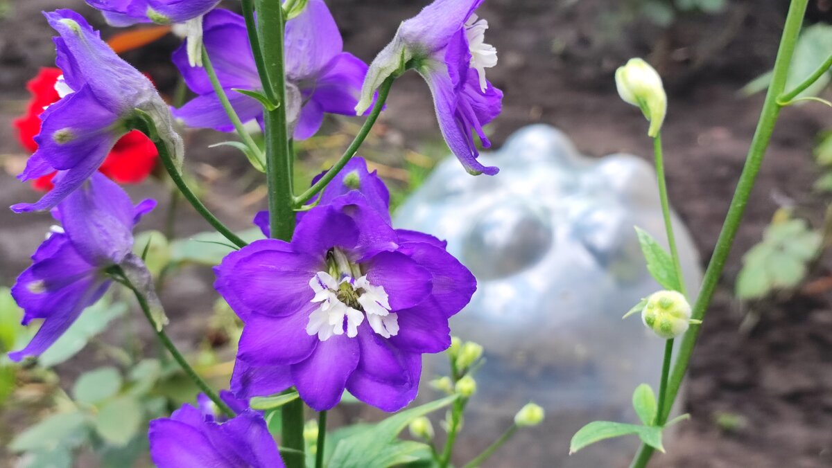 ,,, - Сергей Тимоновский ,,, - Сергей Тимоновский