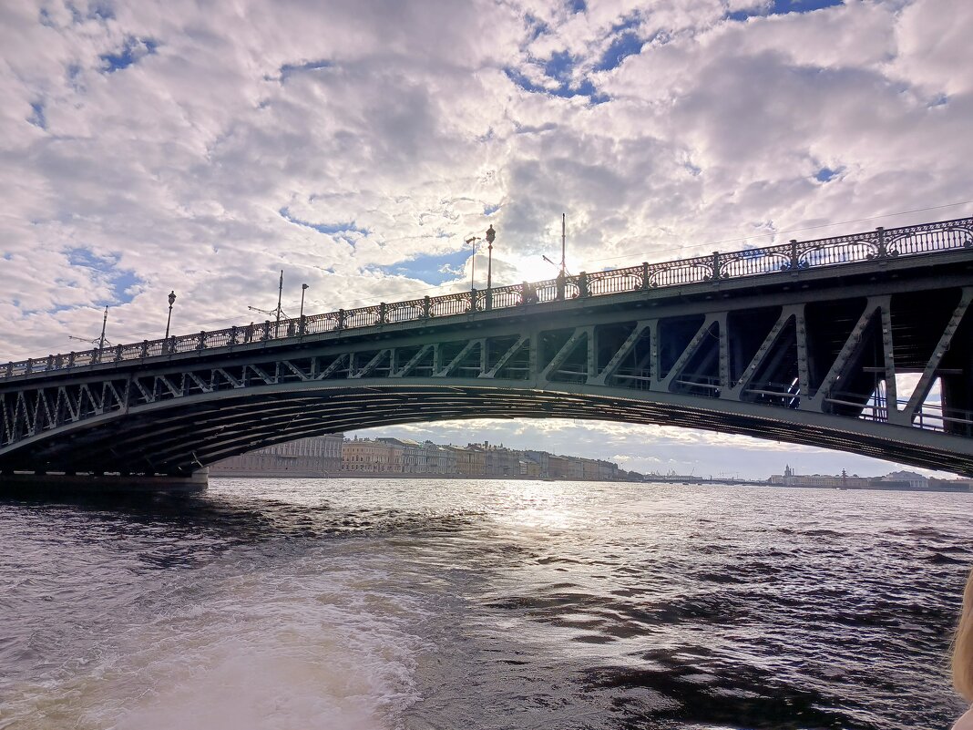 Мост на Неве - Татьяна Пальчикова