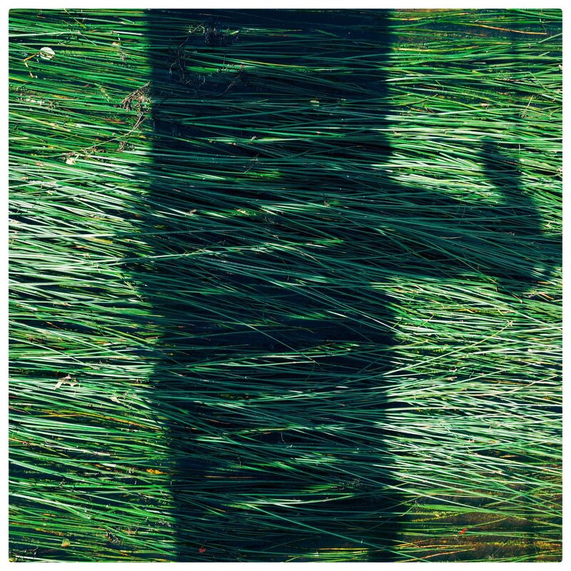 *** - someone somewere