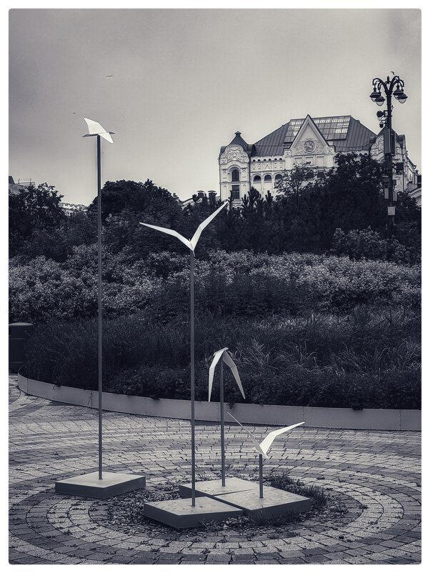 *** - someone somewere