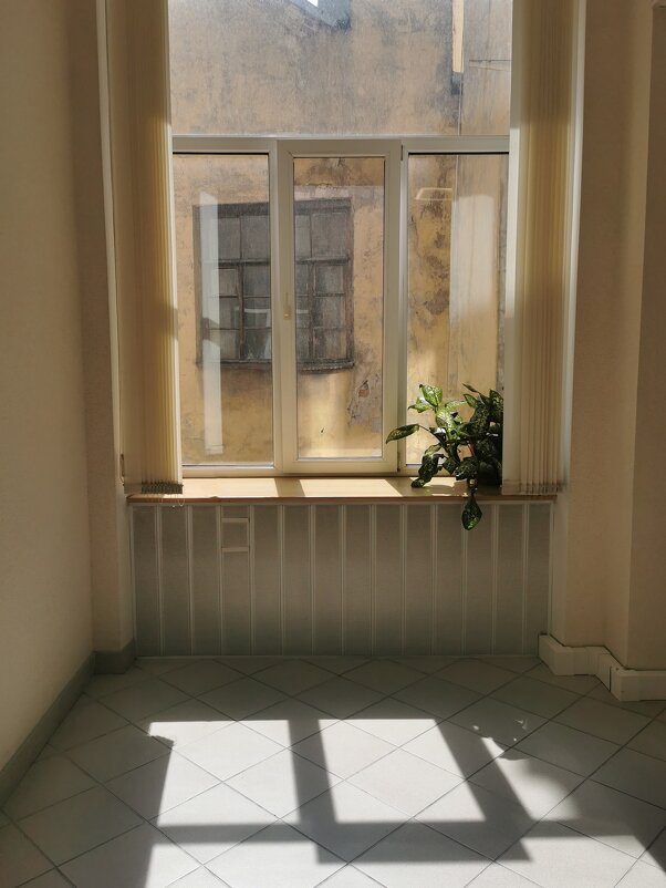 ___ - Наталья Запольских