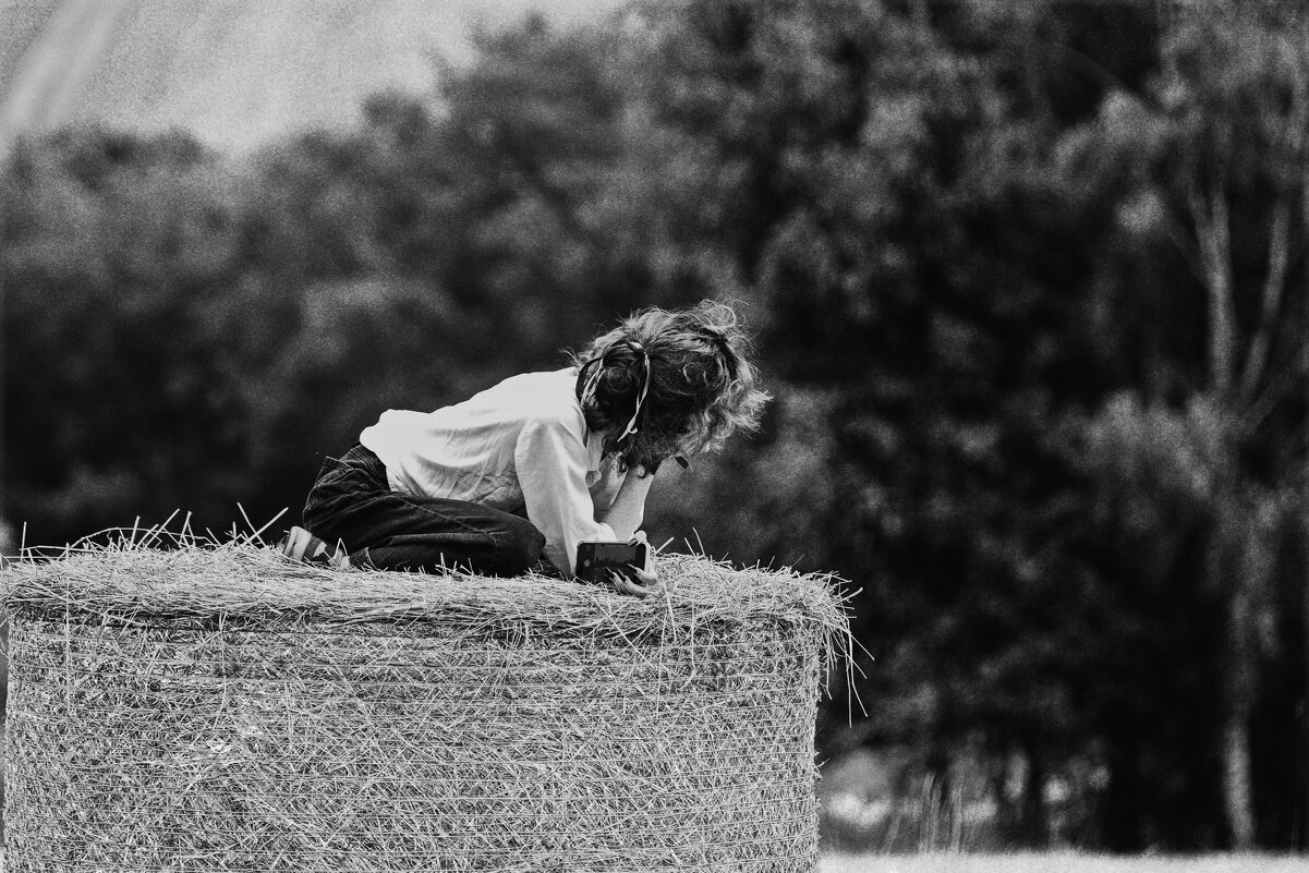 Animal magnetism - AL Reborn 