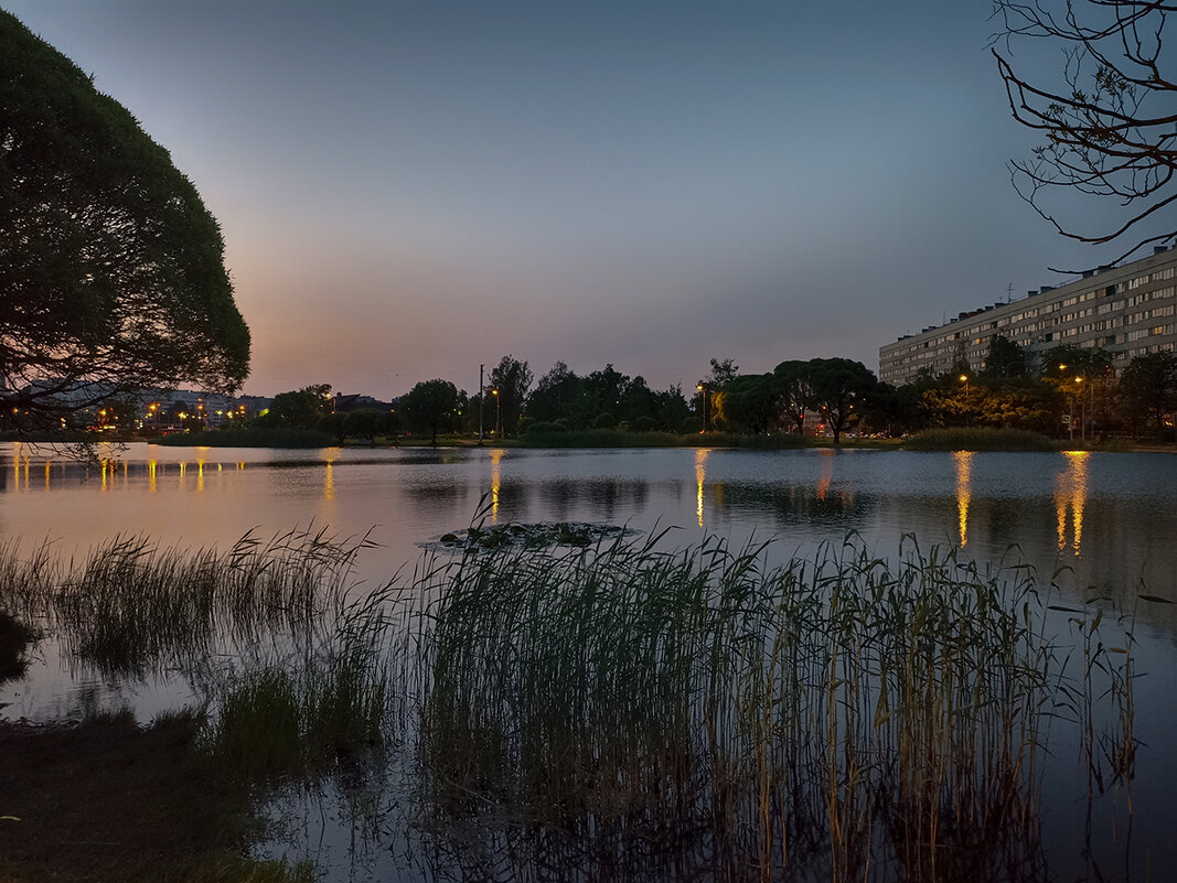 Белые ночи Санкт Петербурга. - Лилия *