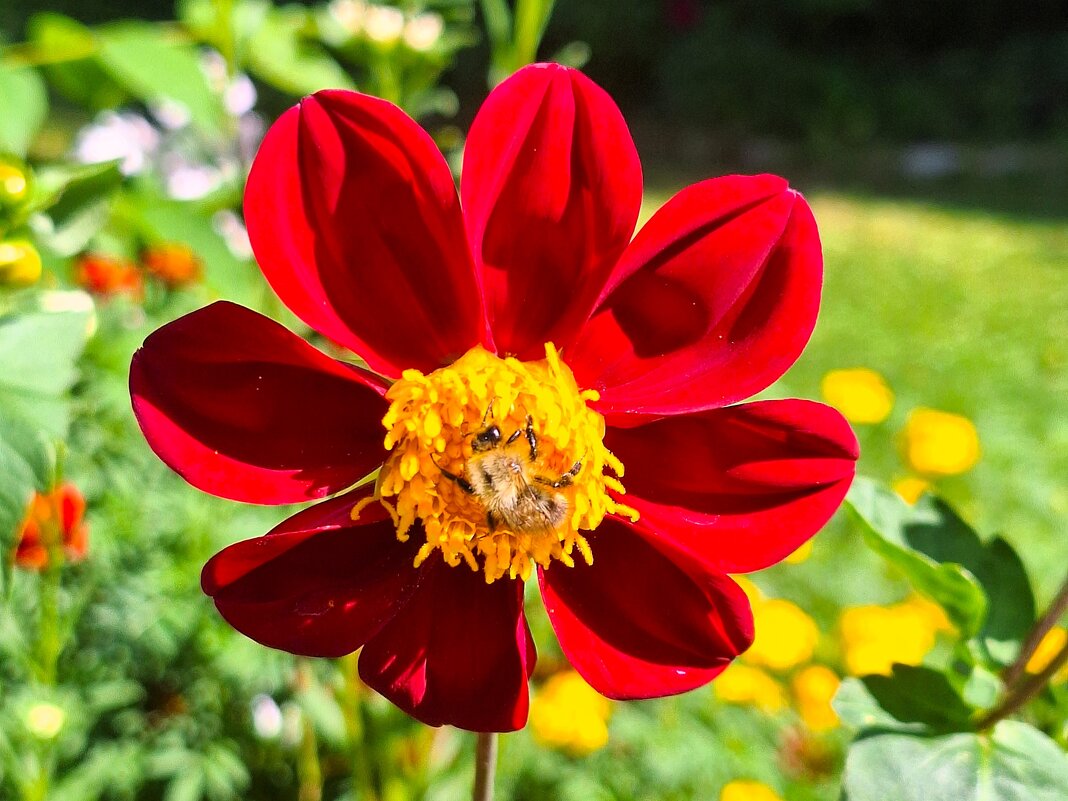 Макро - Наталья Макро - Наталья