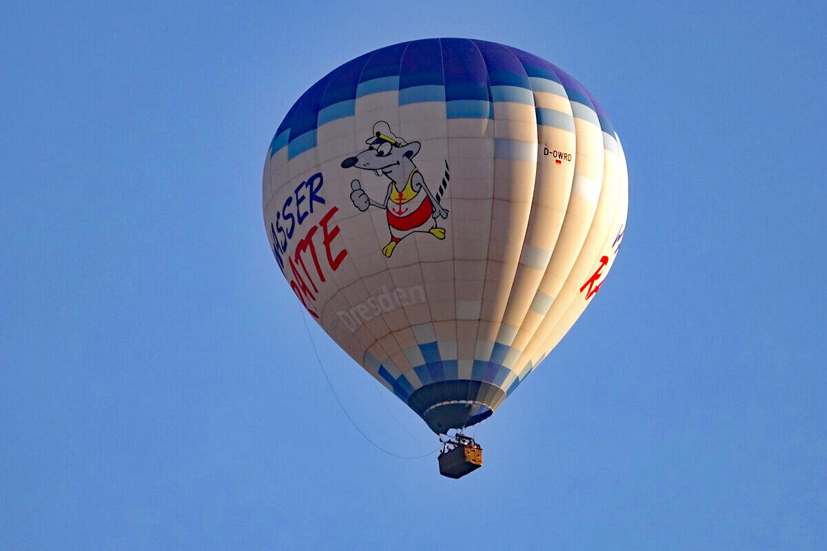 *** - Waldemar F. *** - Waldemar F.