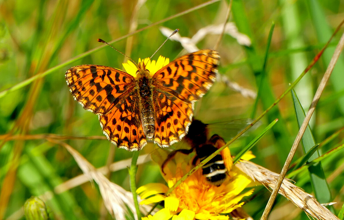 из снятого 1 августа 17 - Александр Прокудин из снятого 1 августа 17 - Александр Прокудин