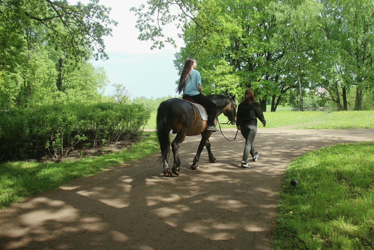 Орловский парк - Наталья Герасимова Орловский парк - Наталья Герасимова